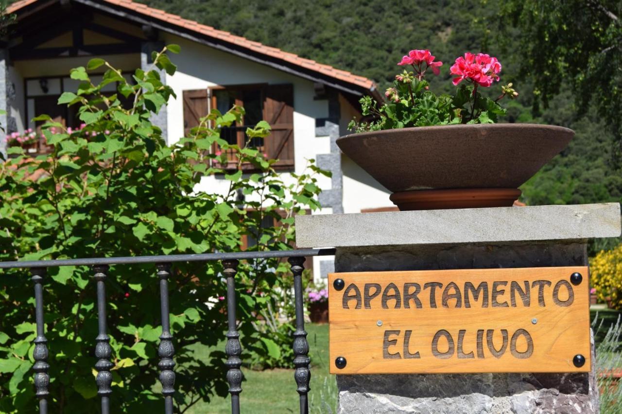 Excepcional Apartamento El Olivo Ojedo Kültér fotó