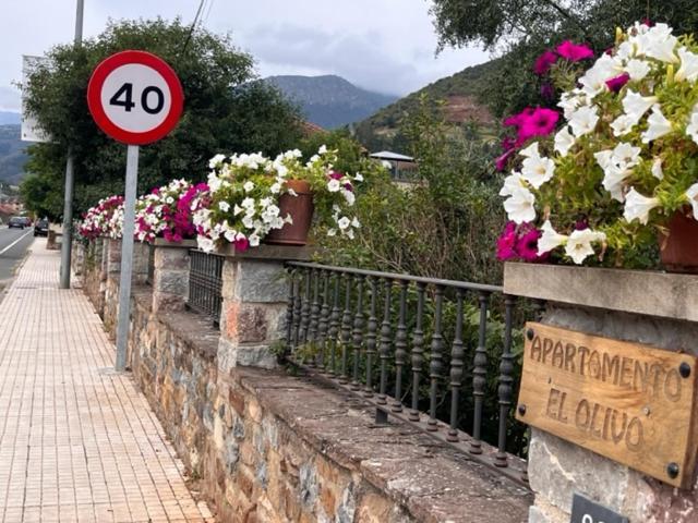 Excepcional Apartamento El Olivo Ojedo Kültér fotó
